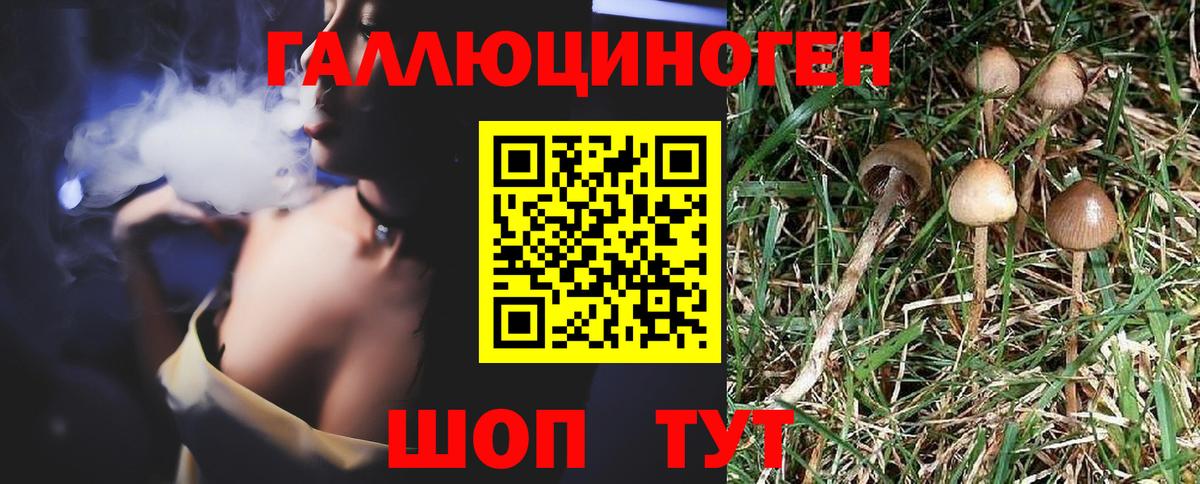 Галлюциногенные грибы ЛСД  сколько стоит  Сланцы  Вход с VPN 